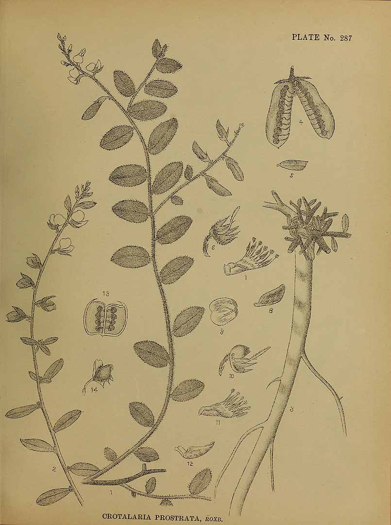 no HD illustration available (3)