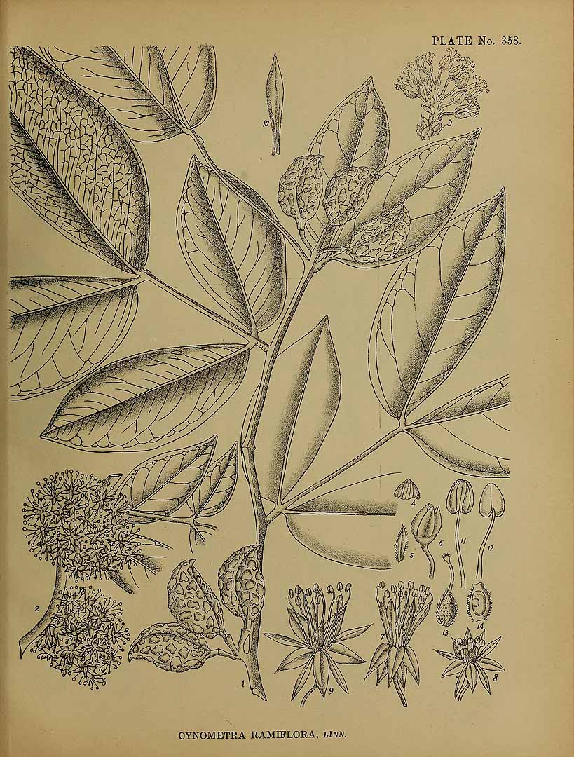 no HD illustration available (3)