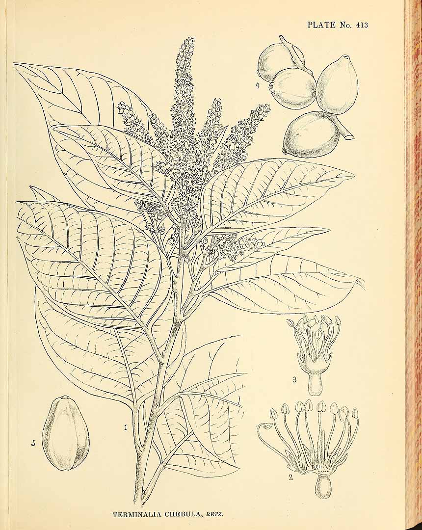 no HD illustration available (3)