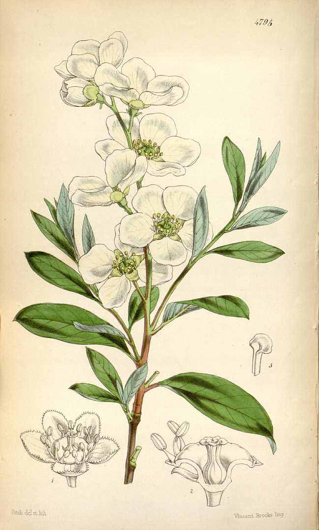 no HD illustration available (3)