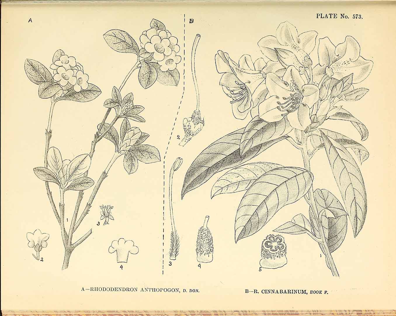 no HD illustration available (3)