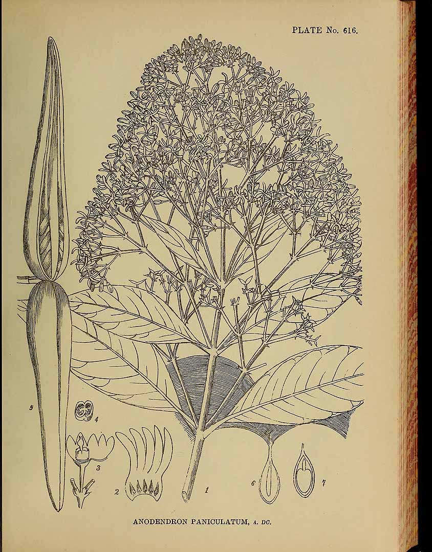 no HD illustration available (3)