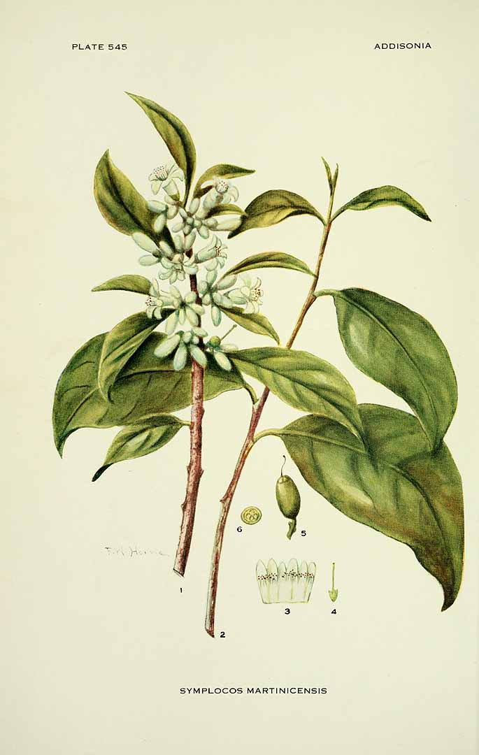 no HD illustration available (3)