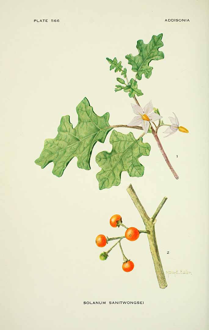 no HD illustration available (3)