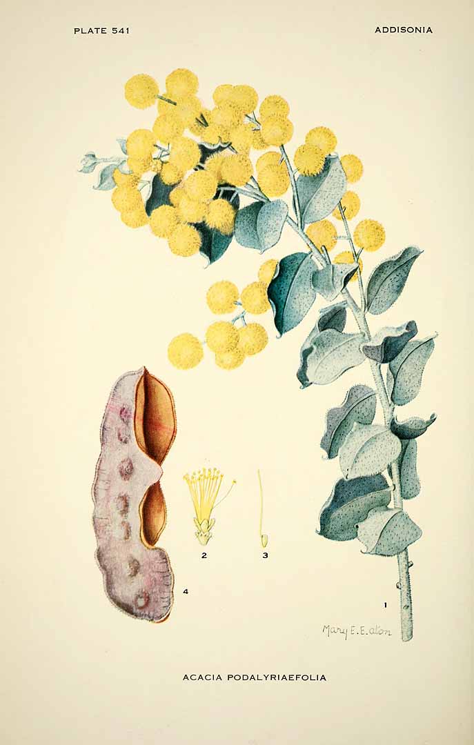 no HD illustration available (3)