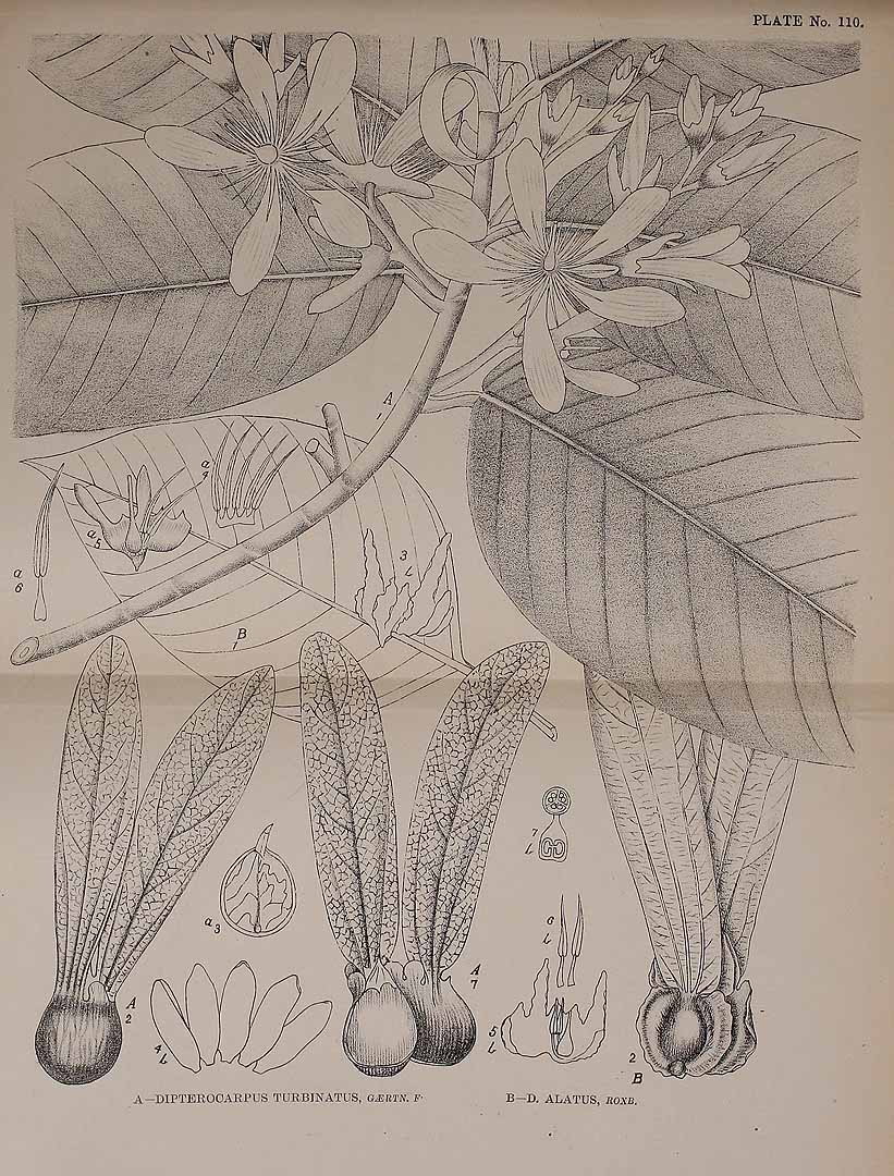 no HD illustration available (3)