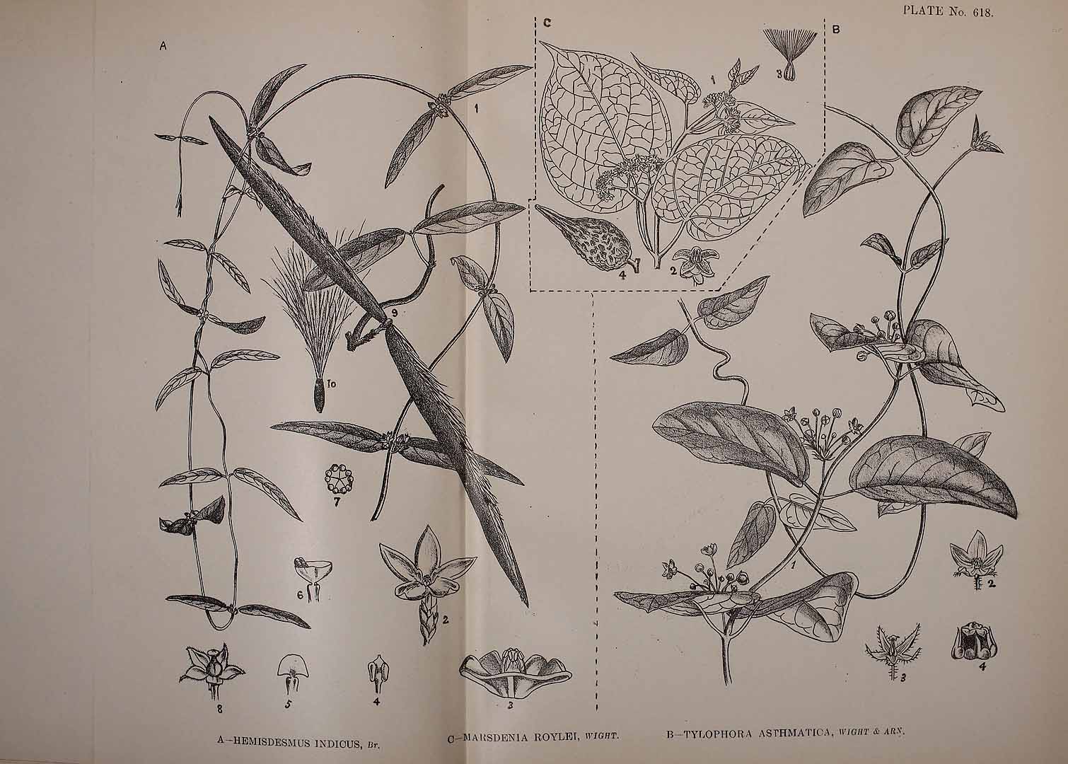 no HD illustration available (3)