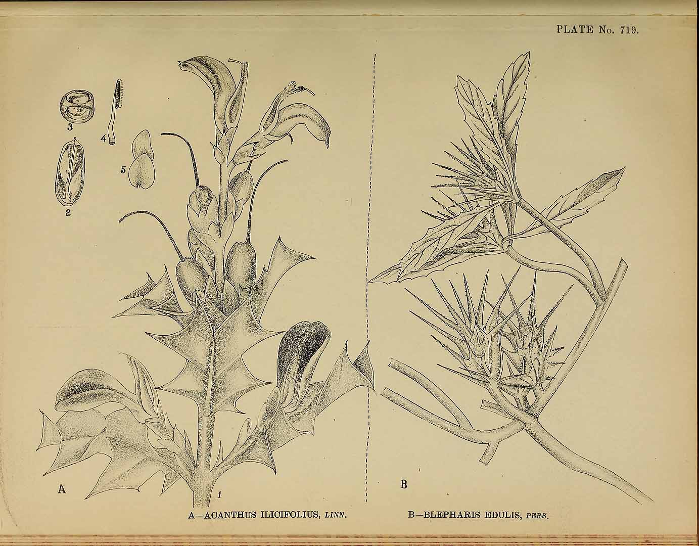 no HD illustration available (3)