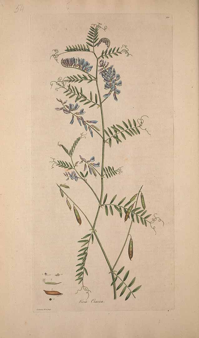 no HD illustration available (3)