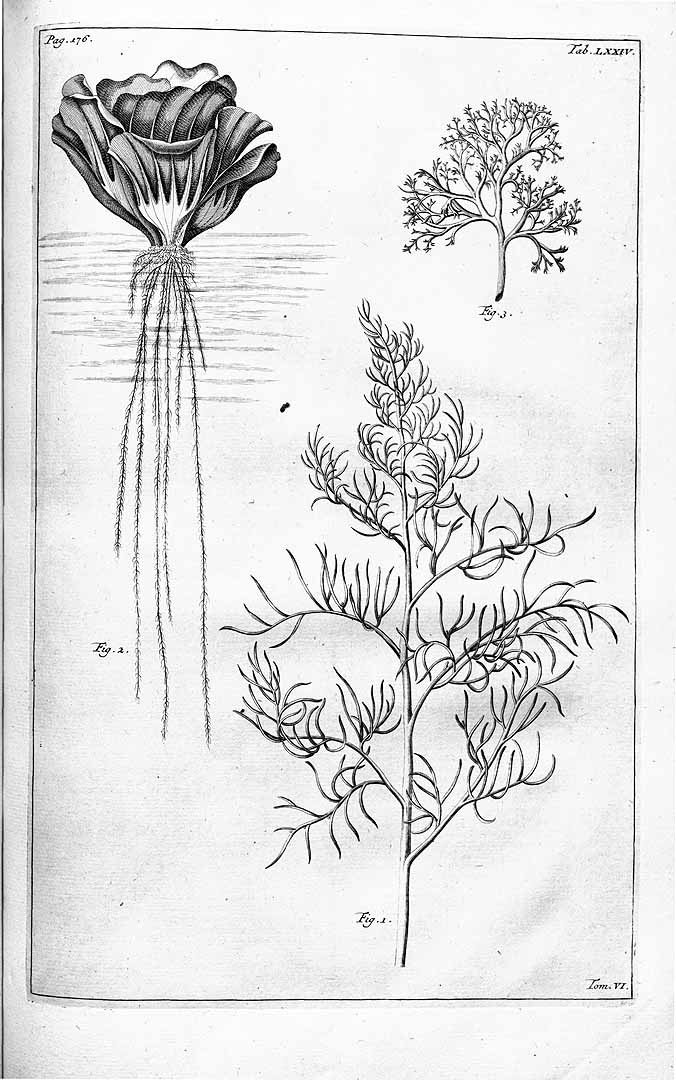 no HD illustration available (3)