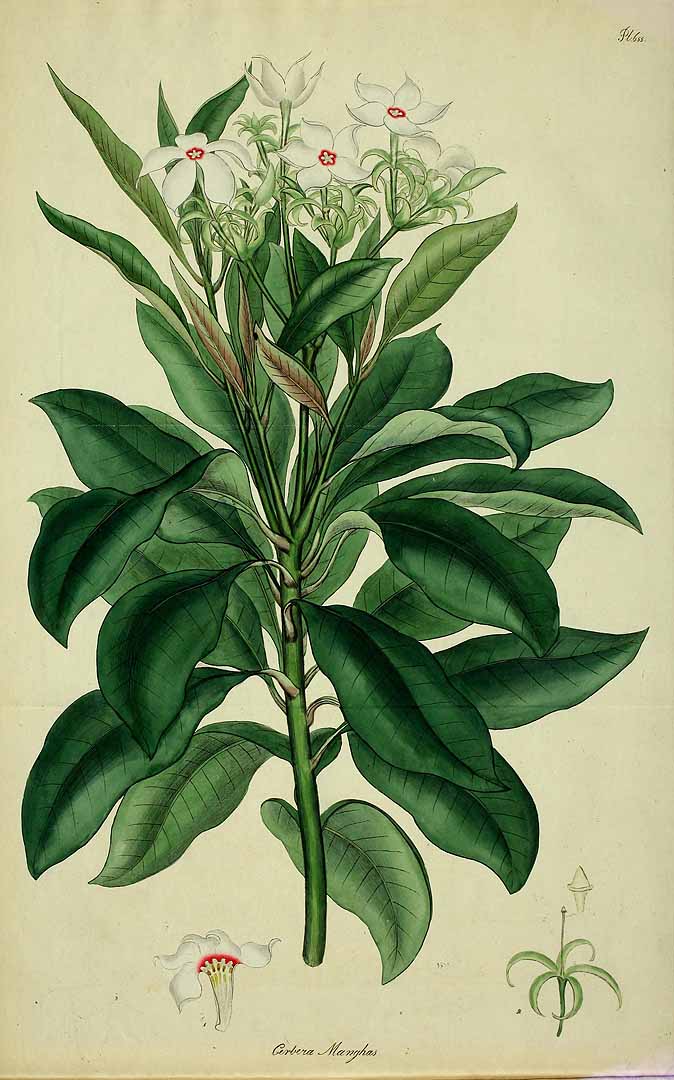 no HD illustration available (3)