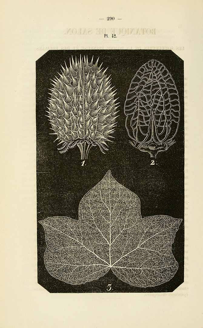 no HD illustration available (3)