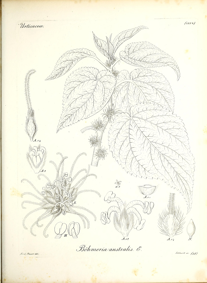 no HD illustration available (3)