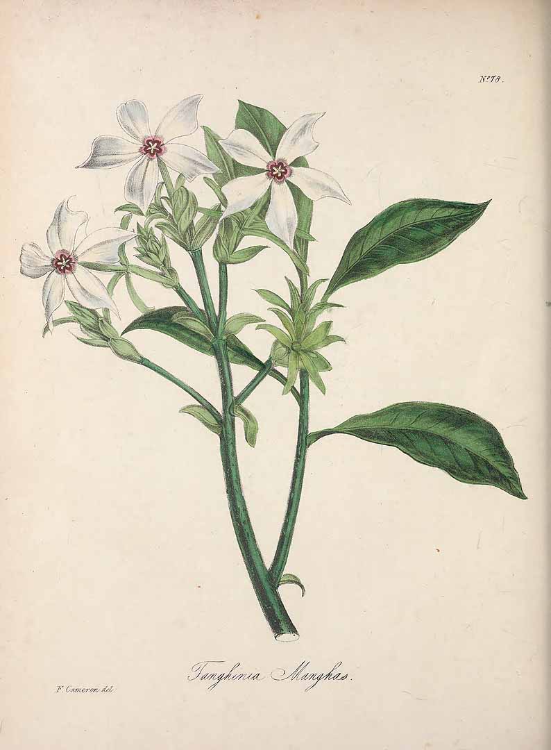 no HD illustration available (3)