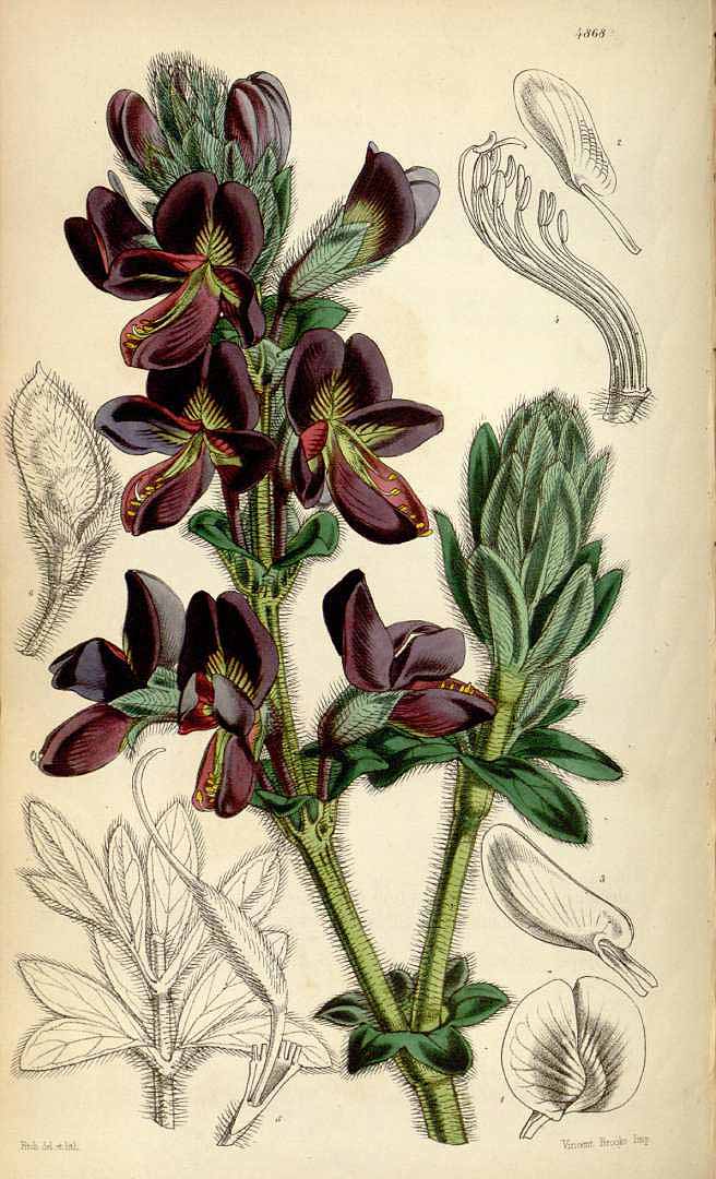 no HD illustration available (3)