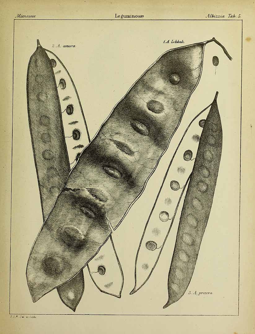 no HD illustration available (3)