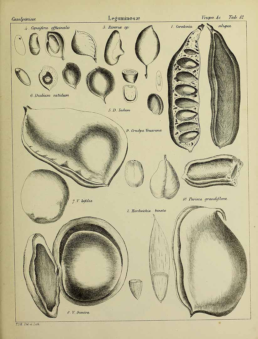 no HD illustration available (3)