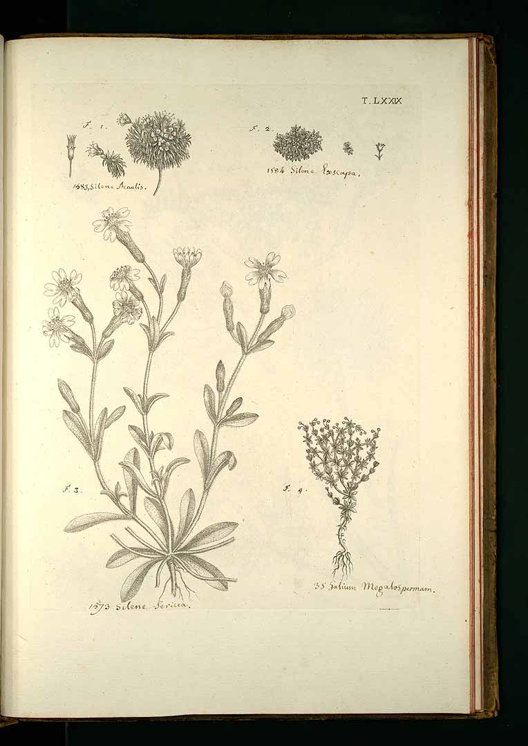 no HD illustration available (3)