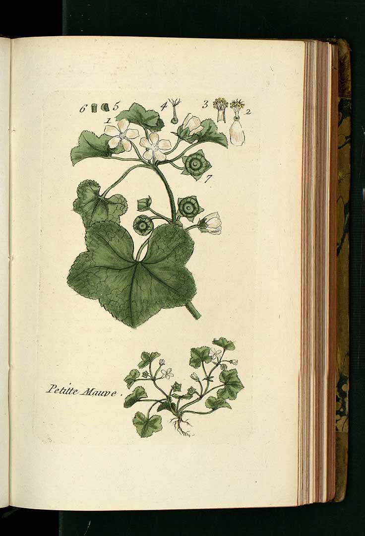 no HD illustration available (3)