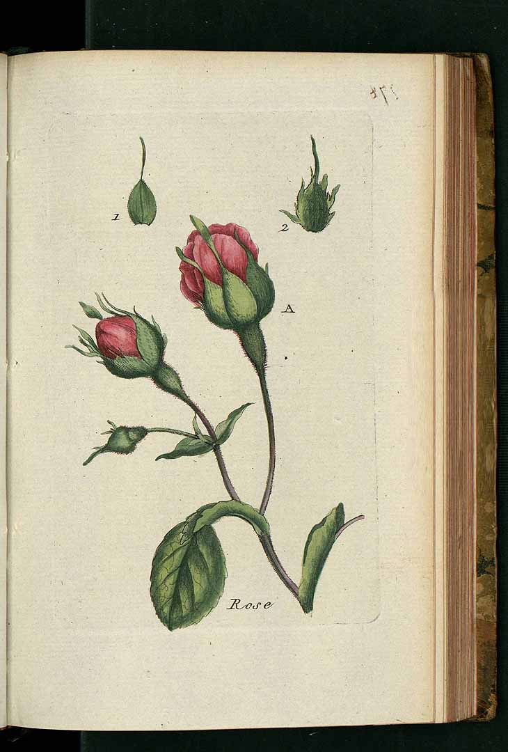 no HD illustration available (3)