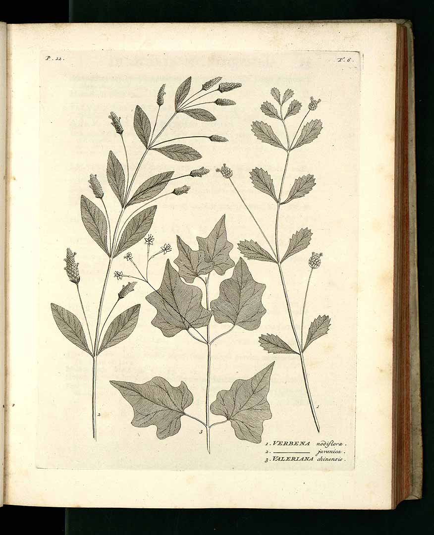 no HD illustration available (3)