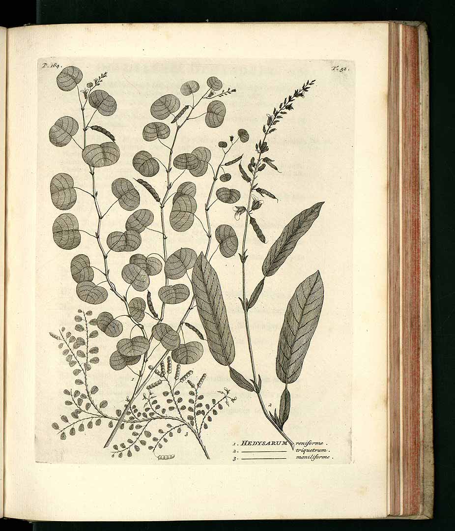 no HD illustration available (3)