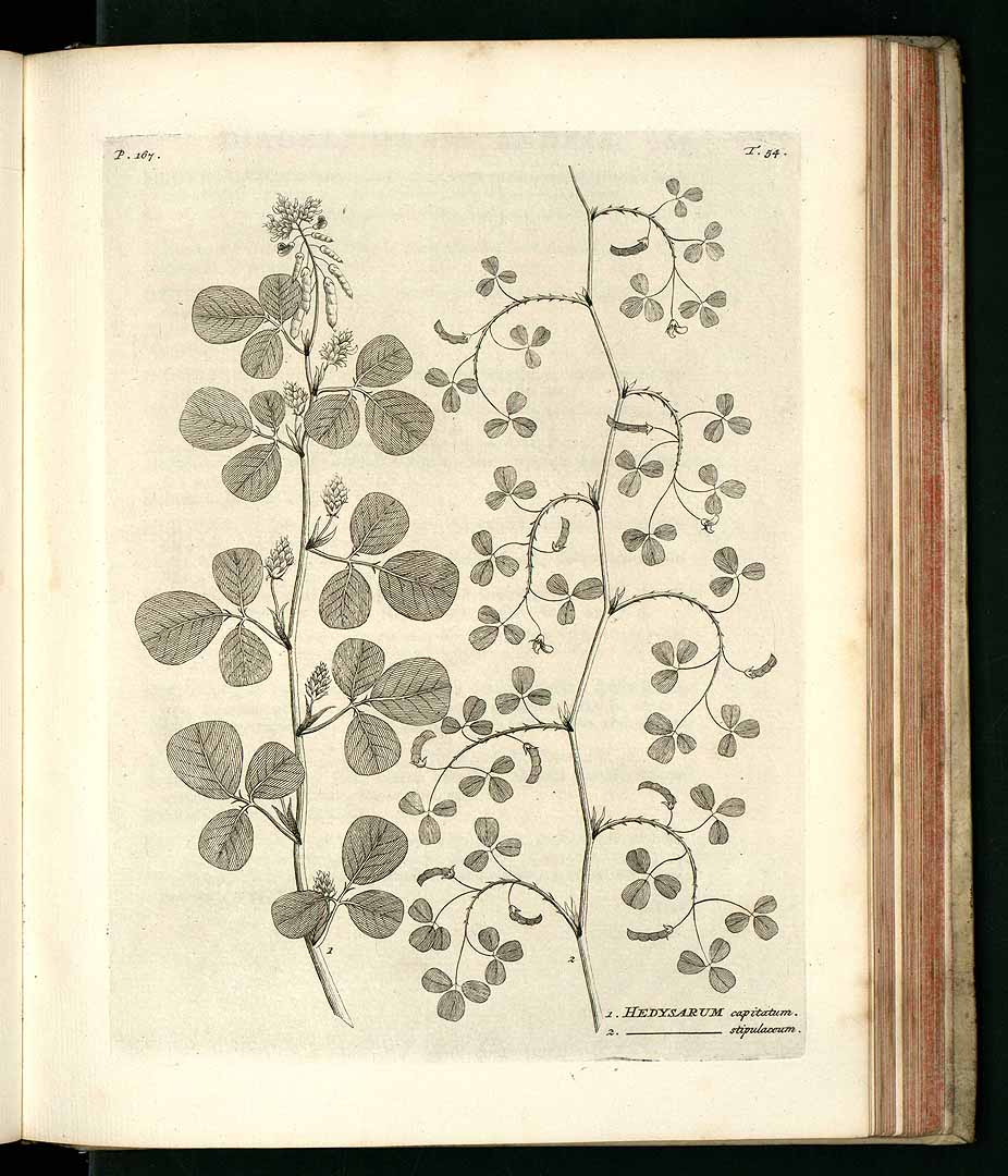 no HD illustration available (3)