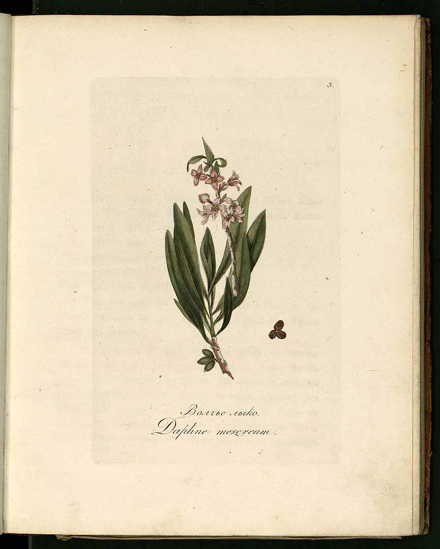 no HD illustration available (3)