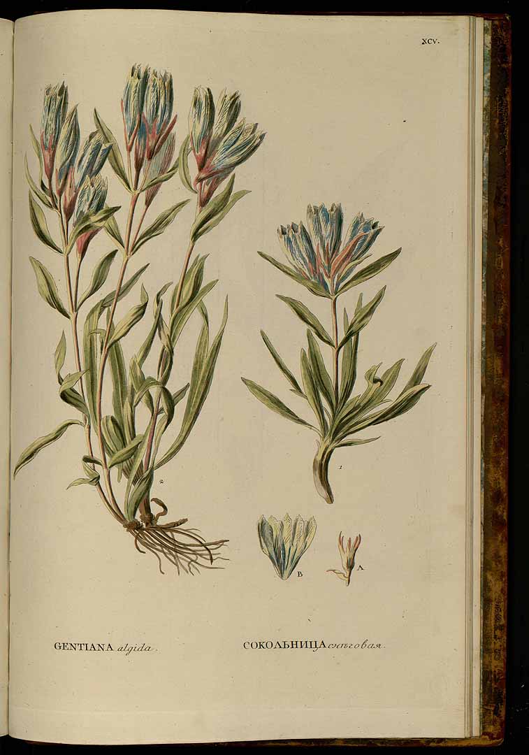 no HD illustration available (3)