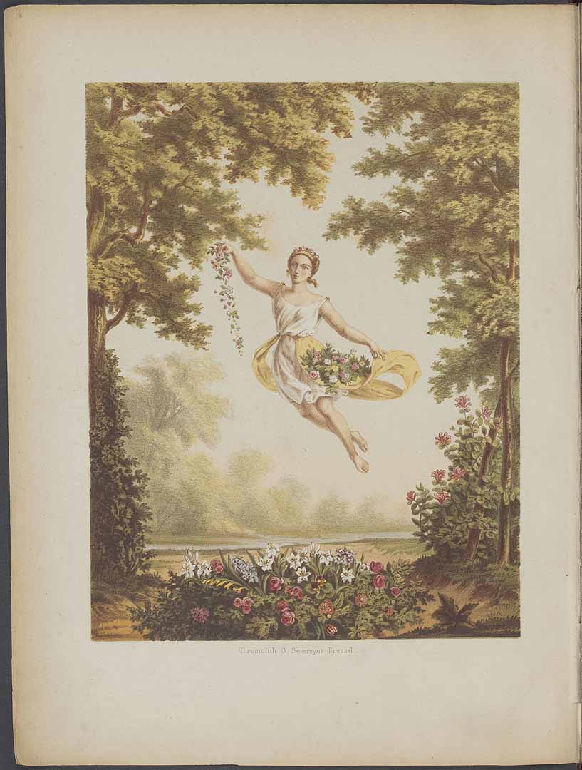 no HD illustration available (3)