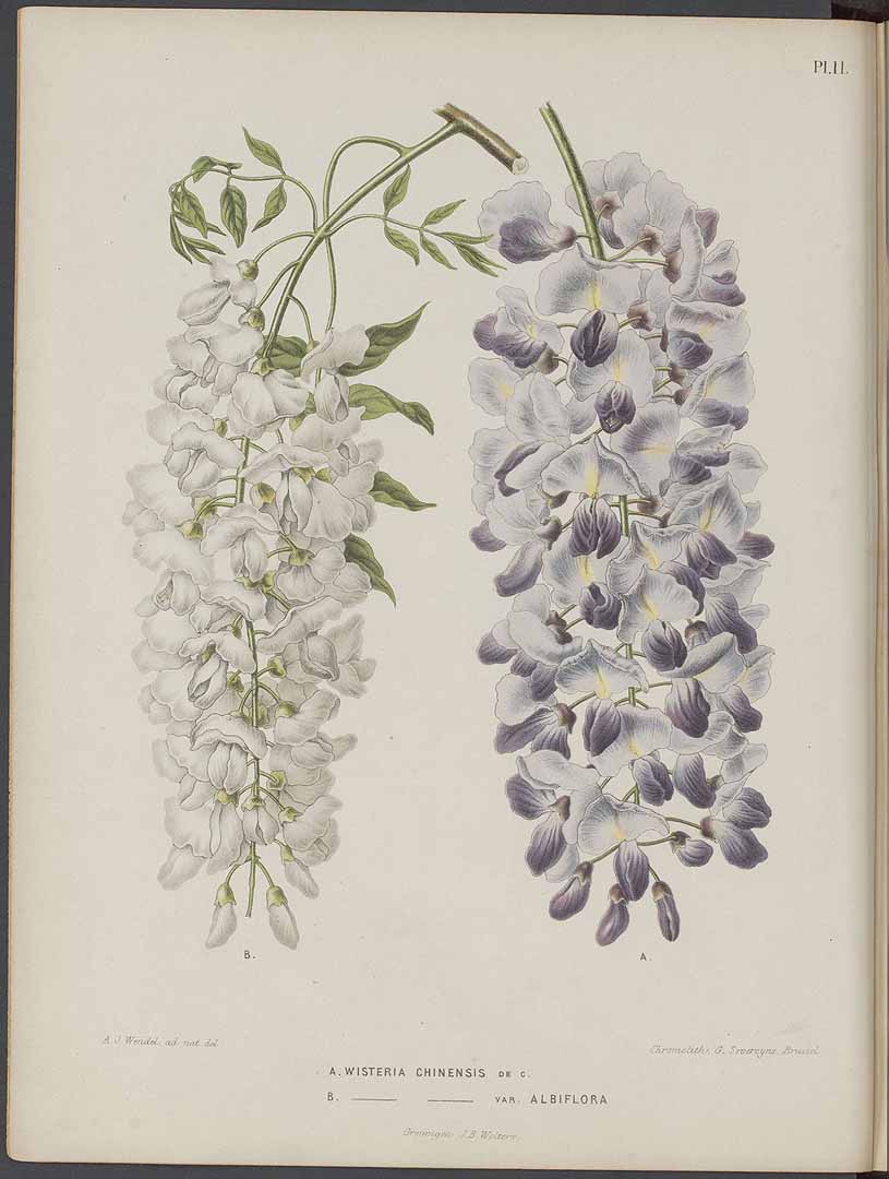 no HD illustration available (3)