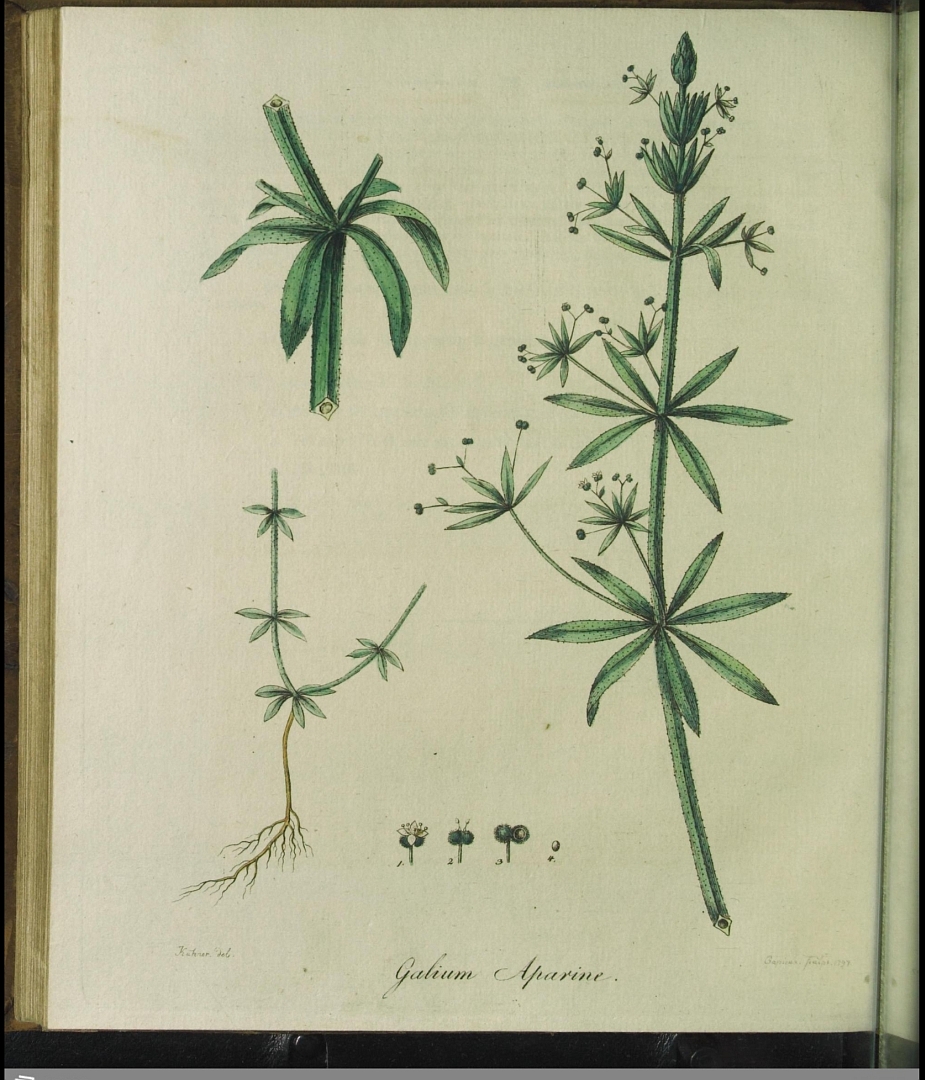 no HD illustration available (3)