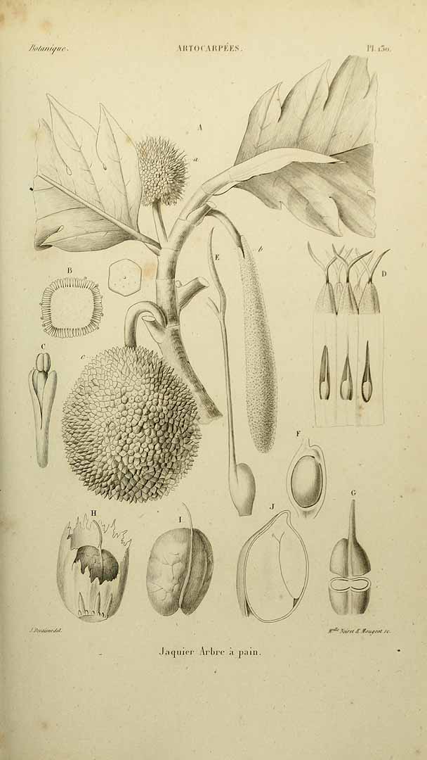 no HD illustration available (3)