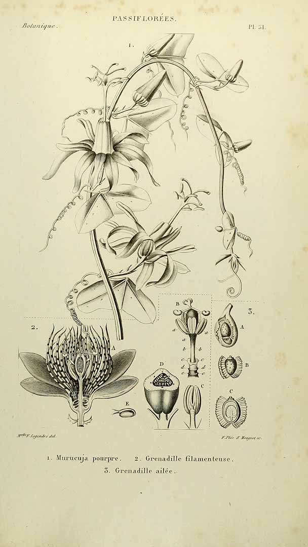 no HD illustration available (3)