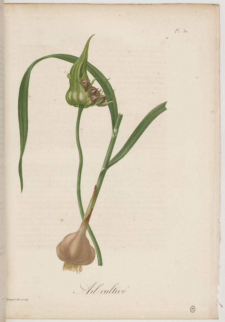 no HD illustration available (3)