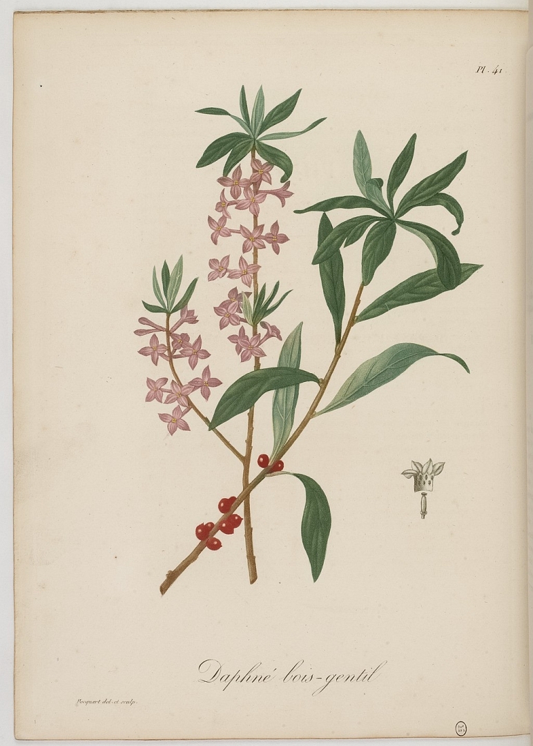 no HD illustration available (3)