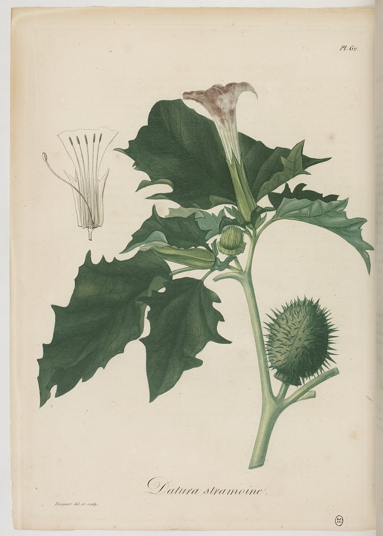 no HD illustration available (3)