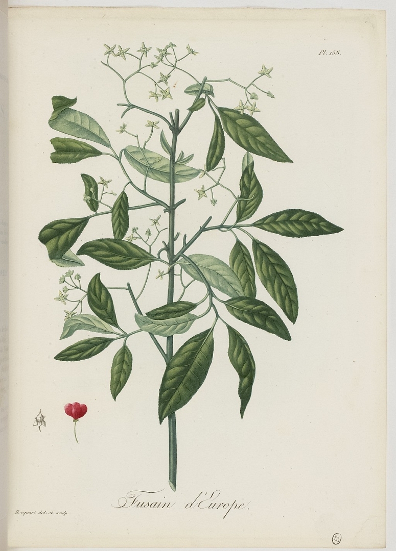 no HD illustration available (3)