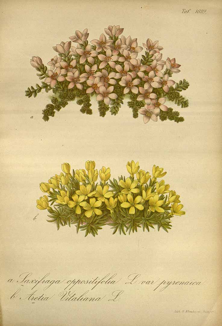 no HD illustration available (3)