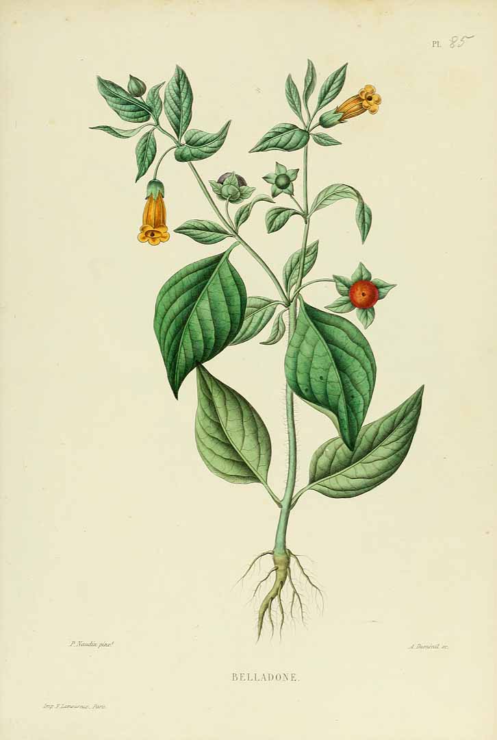 no HD illustration available (3)