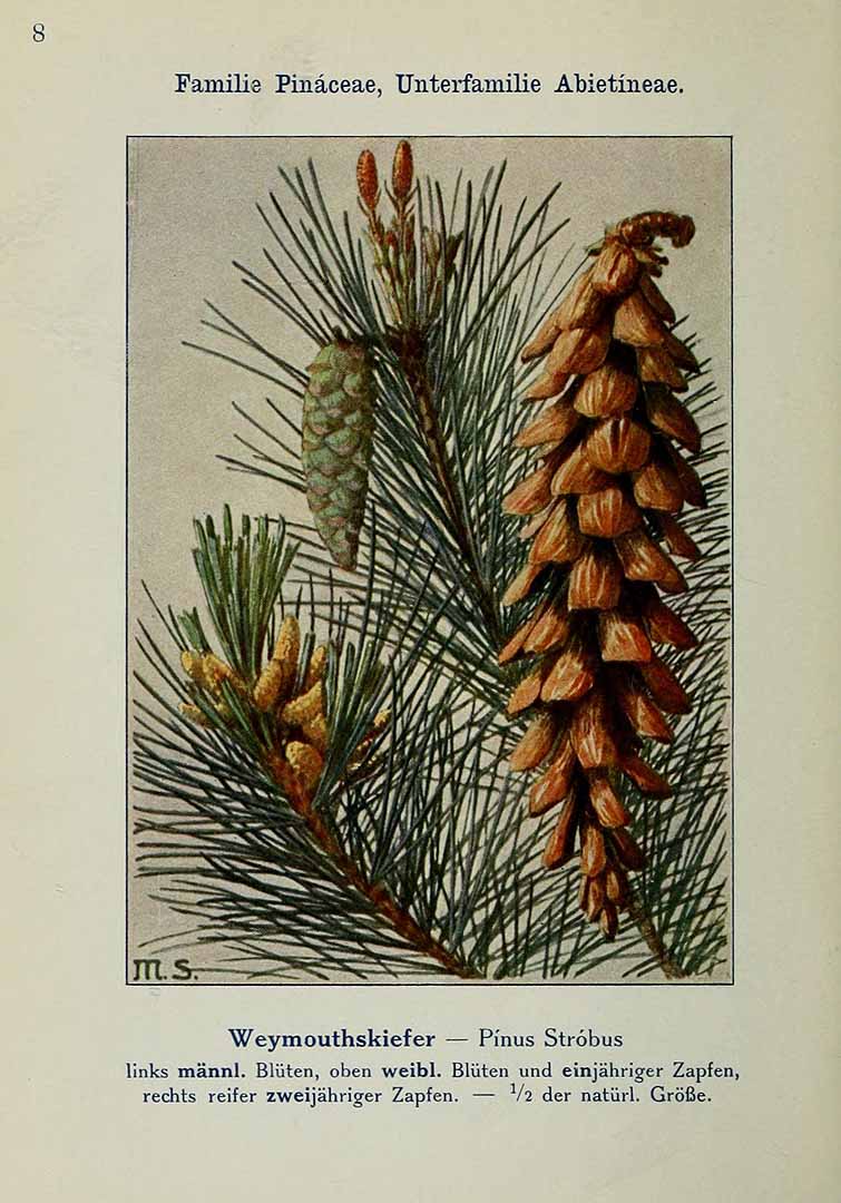 no HD illustration available (3)