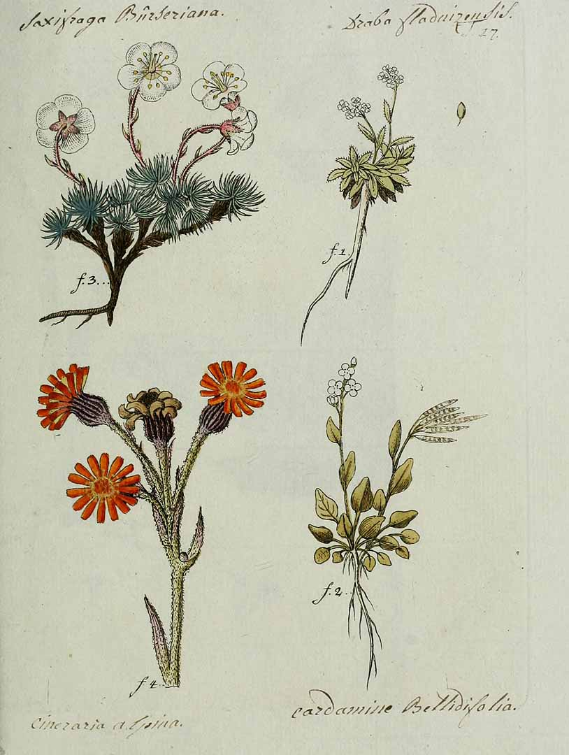 no HD illustration available (3)