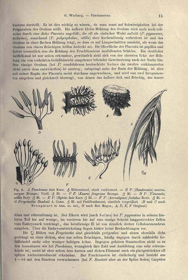 no HD illustration available (3)