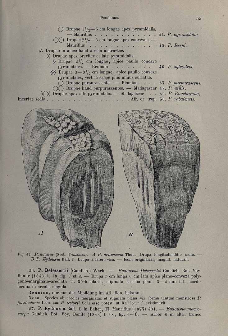 no HD illustration available (3)