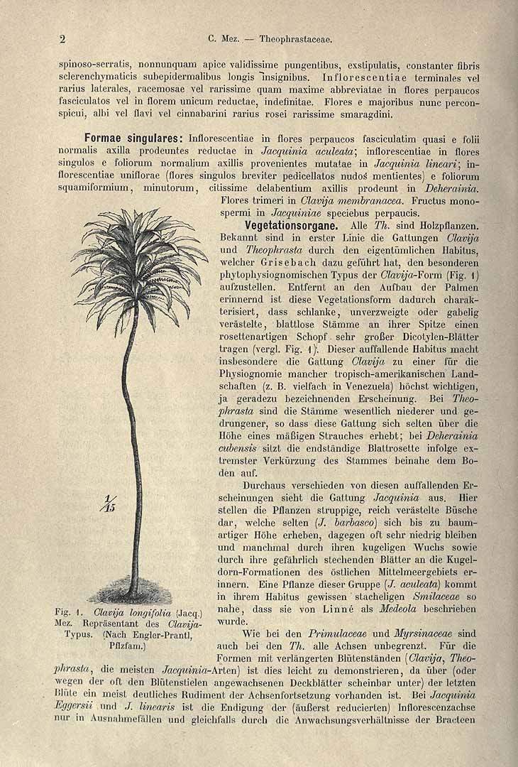 no HD illustration available (3)