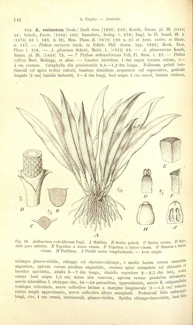 no HD illustration available (3)