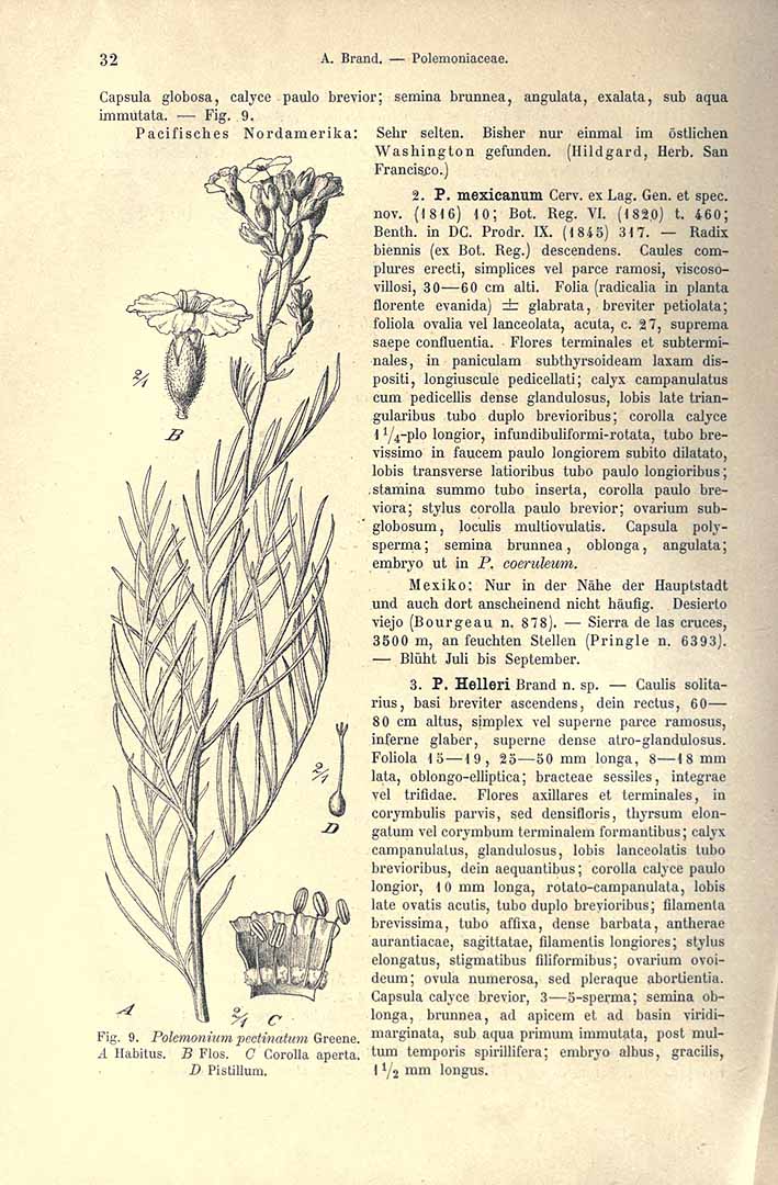 no HD illustration available (3)