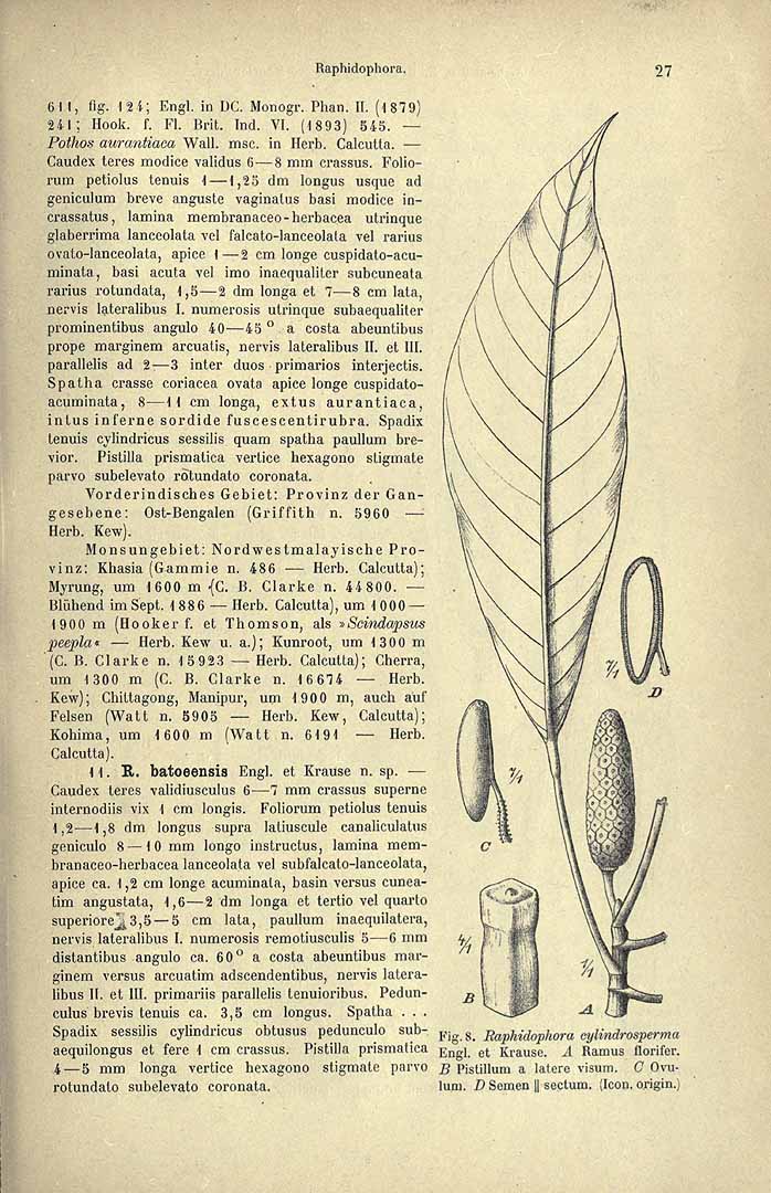 no HD illustration available (3)