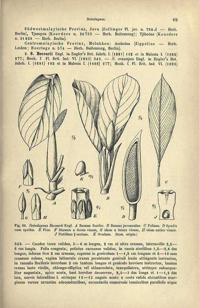 no HD illustration available (3)