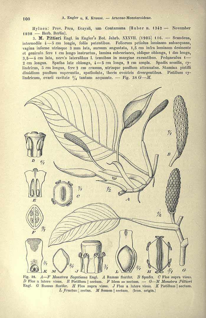 no HD illustration available (3)